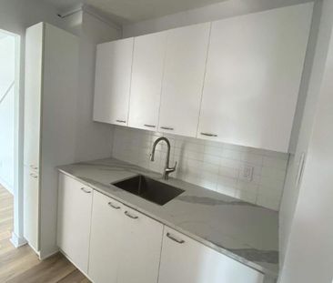 GRAND ET LUMINEUX 4.5 RÉNOVÉ DISPONIBLE 1er AVRIL 2025 - Photo 2