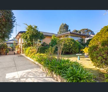 12 Glover Street, Greenacre, NSW 2190 - Photo 4