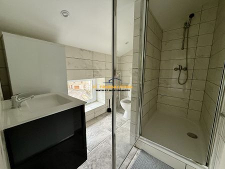 Appartement à louer, 1 pièce - Saint-Chamond 42400 - Photo 5