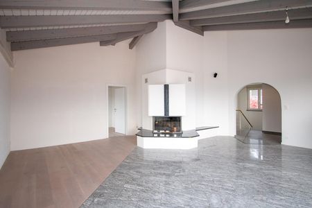 3½-Zimmer-Attikawohnung mit grosser Terrasse und toller Aussicht - Photo 2
