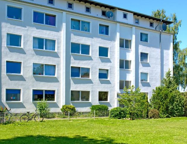 Renovierte 3-Zimmer-Wohnung in Ahlen mit neuen Laminatboden - Photo 1