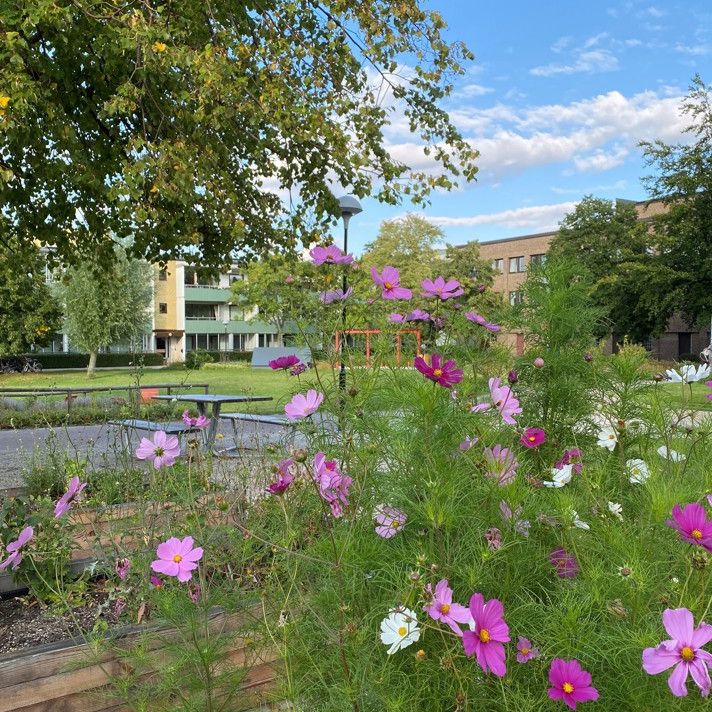 Hålsjögatan 41, Bellevuegården - Photo 1