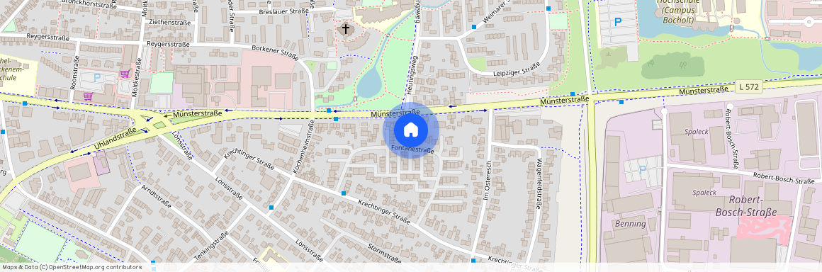 Fanny-Lewald-Straße 13, 46397, Bocholt