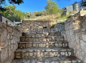 Διαμέρισμα για ενοικίαση - Καλύβια Θορικού, - Φωτογραφία 5