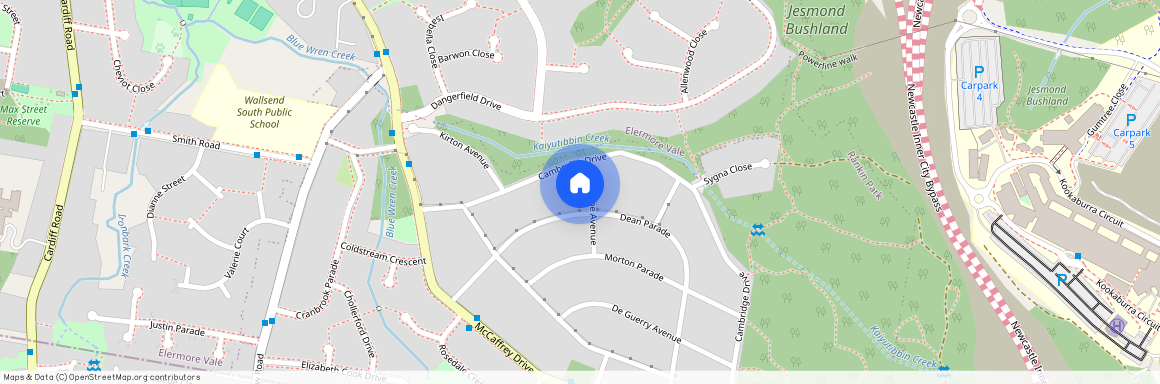 9 Elaine Avenue, Rankin Park NSW 2287