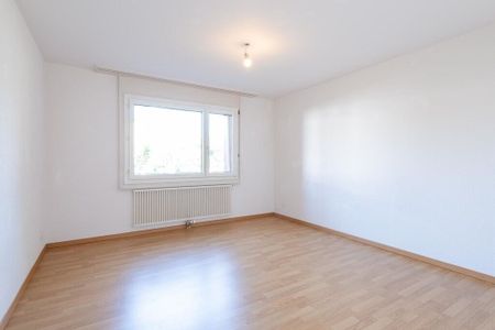 Quiet living in a well-maintained neighborhood - Photo 4