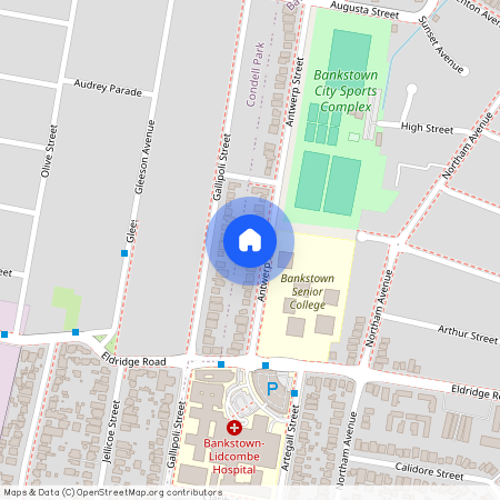 56A Antwerp Street, 2200, Bankstown Nsw