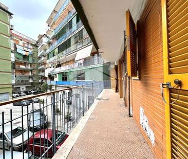 Trilocale in affitto - Photo 1