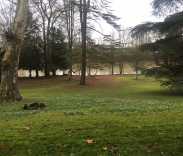 Location Appartement 1 pièce 25m² OLIVET 45160 - Photo 6