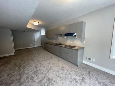 For Lease - 27 Hollybrook Trail Unit# Lower, Kitchener, Ontario - Photo 4
