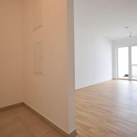 COPACABANA – Kalsdorf – Erstbezug – 36m² – 2 Zimmer Wohnung – Balkon und Parkplatz - Photo 1