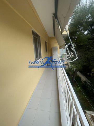 Studio/Γκαρσονιέρα για ενοικίαση Κέντρο (Ραφήνα) - Photo 4