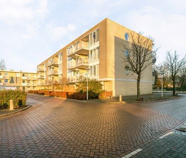 Brink, 15, Amstelveen - Photo 2