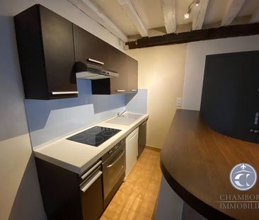 BLOIS Vienne - T2 de caractère - Photo 5