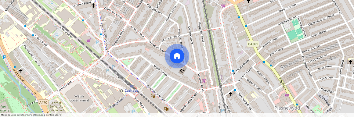 Wyeverne Road, CF24 4BH, Cathays