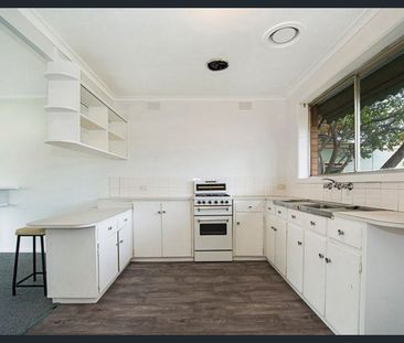 Rare Opportunity on Main Street - Photo 3