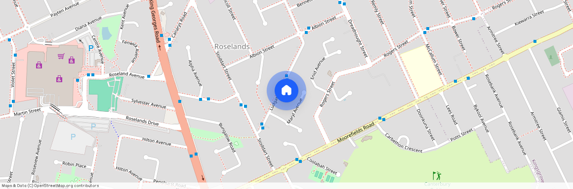 98 Ludgate Street, NSW 2196, Roselands