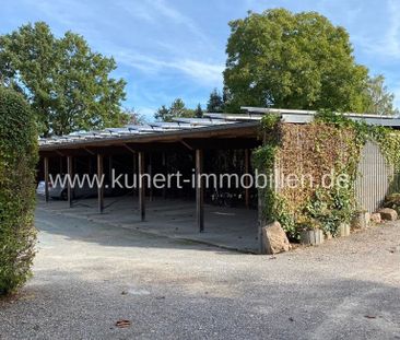 2-Zimmer-Wohnung im Erdgeschoss in gepflegter Wohnanlage, Garage od... - Foto 1