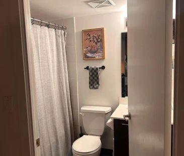 170 Sudbury Street #503 - Photo 6