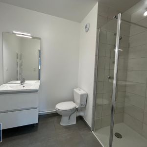 Location Appartement 1 pièce 28m² ANGERS 49000 - Photo 3