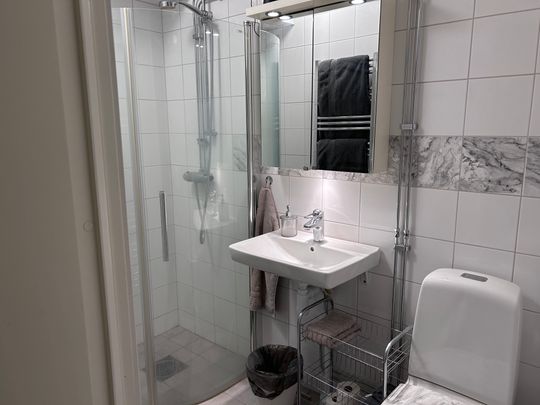 Drottninggatan 130, Helsingborg - Photo 1