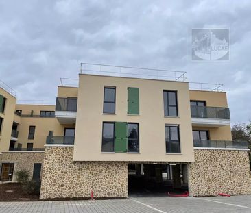 Rental Apartment - Photo 4