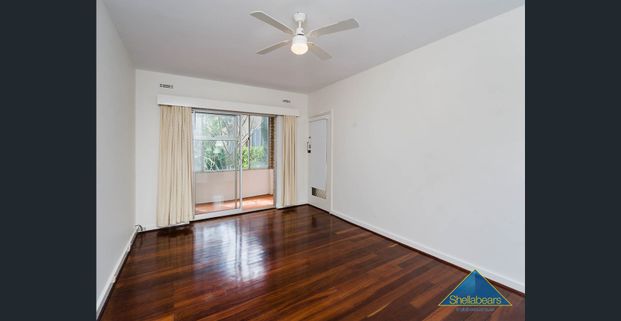 Perfectly Situated! - Photo 1