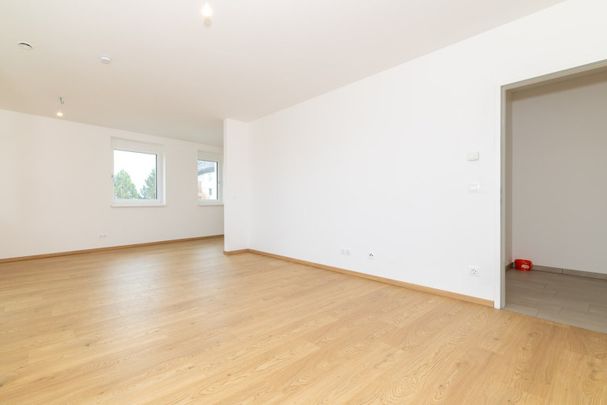 Unser Neujahrsgeschenk - WOHNEN SIE DAS ERSTE MONAT MIETZINSFREI - Wohnglück Wieselburg - moderne 2 Zimmerwohnung im Erstbezug- KAUFOPTION - Photo 1