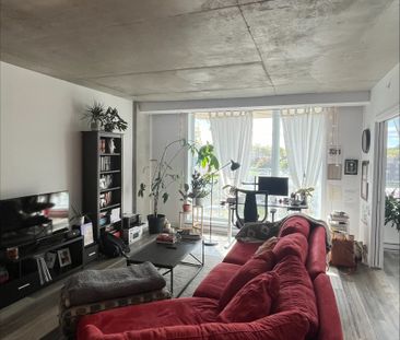 Logement De 1 Chambre A Louer - Photo 1