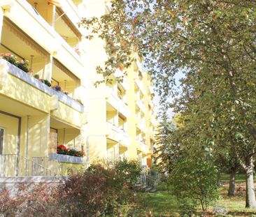 Blick ins Grüne - Photo 1