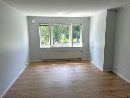 Frankie Manningsväg, Herräng - Foto 3