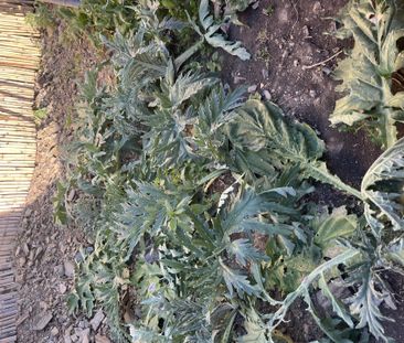 Finca rústica de alquiler en Diseminado Diseminados, 21, Benamargosa - Photo 5