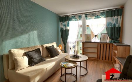 Mieszkanie opolskie Krapkowice powierzchnia 28.0 m² C240-WM-61880 - Zdjęcie 2