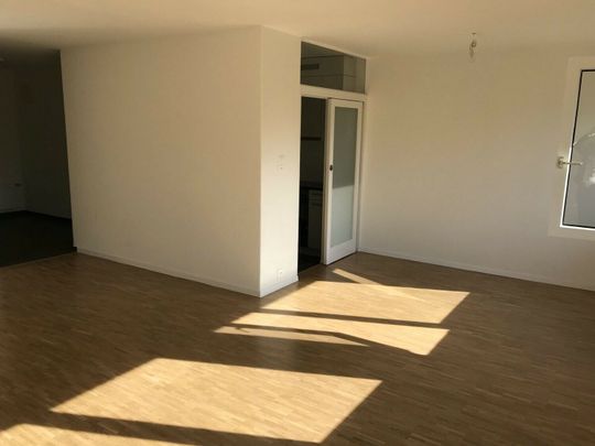 SPACIEUX LOGEMENT RENOVE RECEMMENT - Foto 1