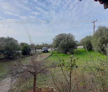 Μονοκατοικία για ενοικίαση Νέα Σκιώνη (Παλλήνη) - Photo 6