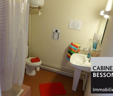 Location Appartement 1 pièce 17m² GRENOBLE 38000 - Photo 3