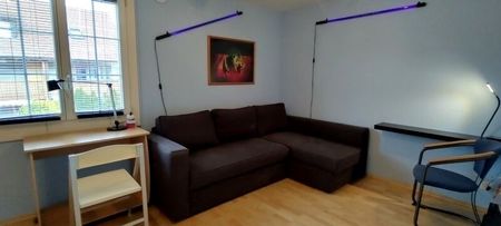 4-ROOM HOUSE IN NÄNIKON (ZH), FURNISHED, TEMPORARY - Photo 2