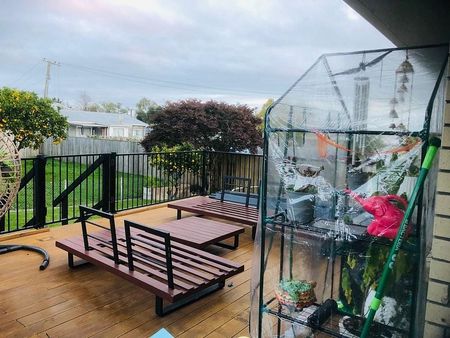 Fabulous Home! Walk to Waikato DHB! - Photo 2
