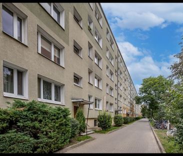 Mieszkanie do wynajęcia 1 pokoje Pod Lipami, Poznań 26.7 m² - Photo 1
