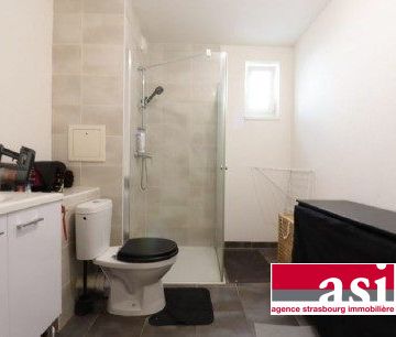 Schiltigheim centre : Studio avec Jardin - Photo 5