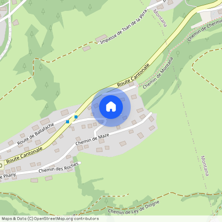 3963, Crans-Montana, Route du Bouillet, 11