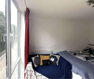 Gold River Studio - Photo 5