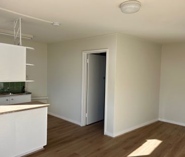 CHARMING RENOVATED APARTMENT IN THE HEART OF NORTHCOTE - Photo 1