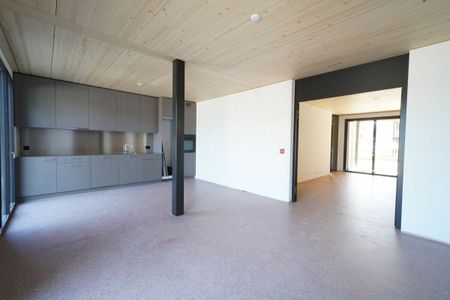 Atelier-Wohnung im suburbanen Schweighofquartier - Photo 4