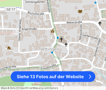 Eigentumswohnung im 3-Familienhaus - Foto 1