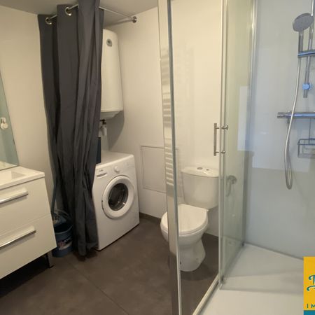 Location Appartement 1 pièce 29m² LIMOGES 87000 - Photo 3