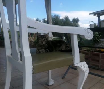 Μεζονέτα για ενοικίαση - Αίγιο, - Photo 5