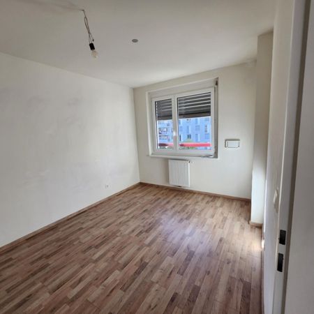 PROVISIONSFREI! EGGENBERGER GÜRTEL 56 - Foto 3