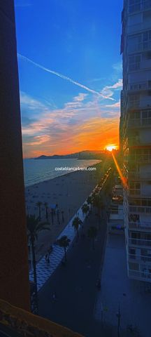 Benidorm 1sth line Beach Levante - Photo 2