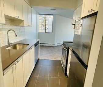 Pet Friendly 1BR/1BA in Burnaby. Spacious, Near SFU, Skytrain, Mall - Photo 4